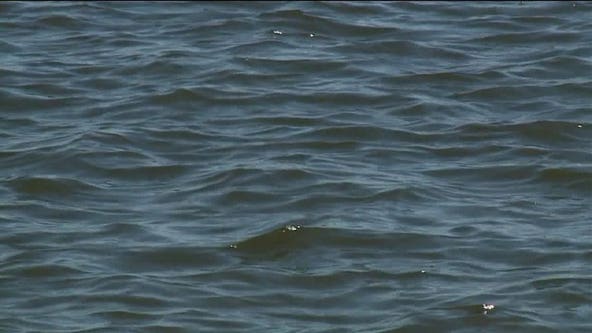 Milwaukee Lake Michigan drowning: Man dies after rescue