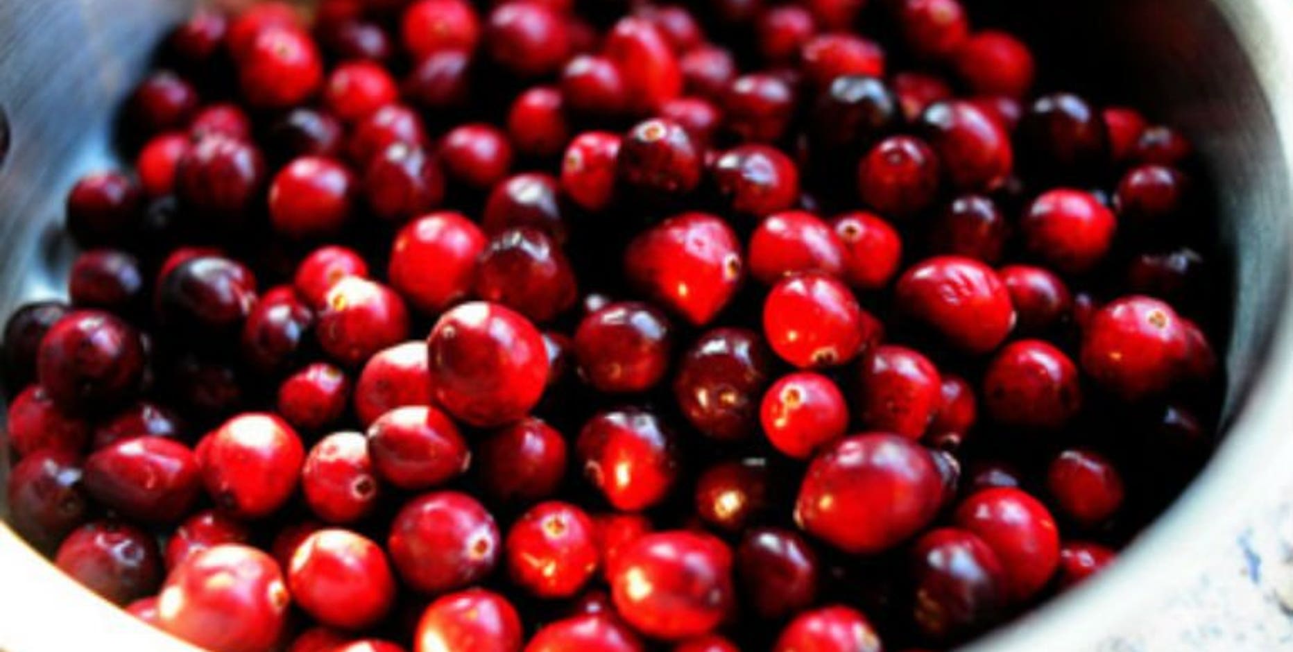 Wisconsin cranberry crop: Dry summer having little impact