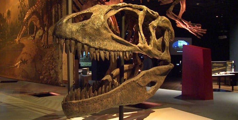 Milwaukee Public Museum reopens Thursday, 2 other museums to reopen Friday
