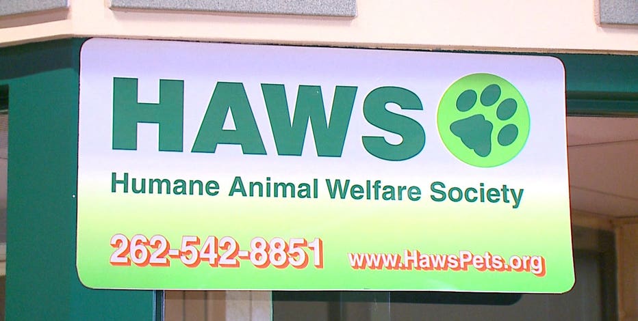 HAWS in Waukesha to receive 15 homeless dogs from Louisiana
