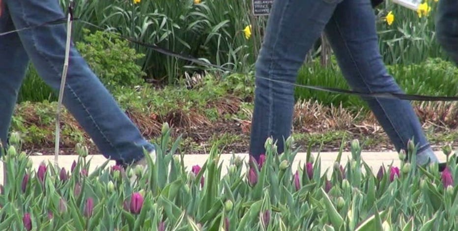 Boerner Botanical Gardens opens Saturday for the 2021 season