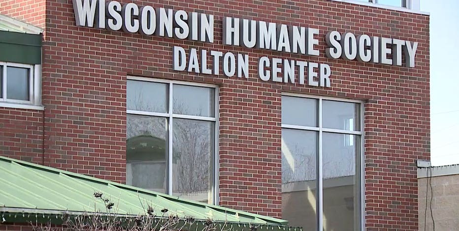 Wisconsin Humane Society donations matched in August, up to $250K