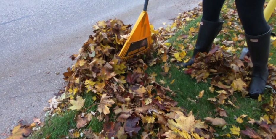 Milwaukee residents rake leaves into street now through Nov. 15