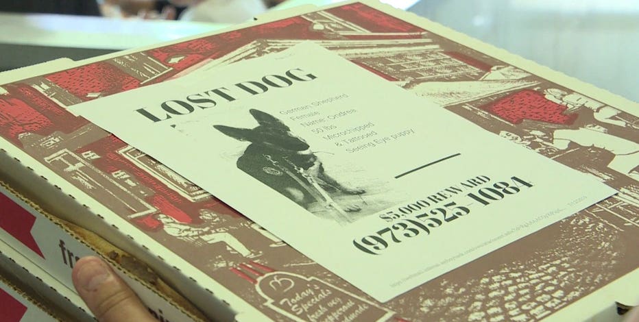 Restaurant uses pizza boxes to help find missing pets