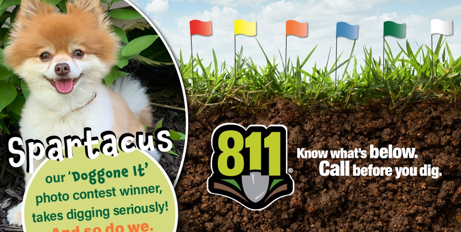 Call before you dig: Meet Spartacus, the 6-year-old Pomeranian named We Energies' 'ambassadog'