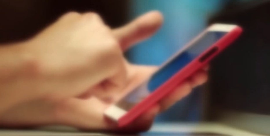 Milwaukee domestic violence text line helps people escape