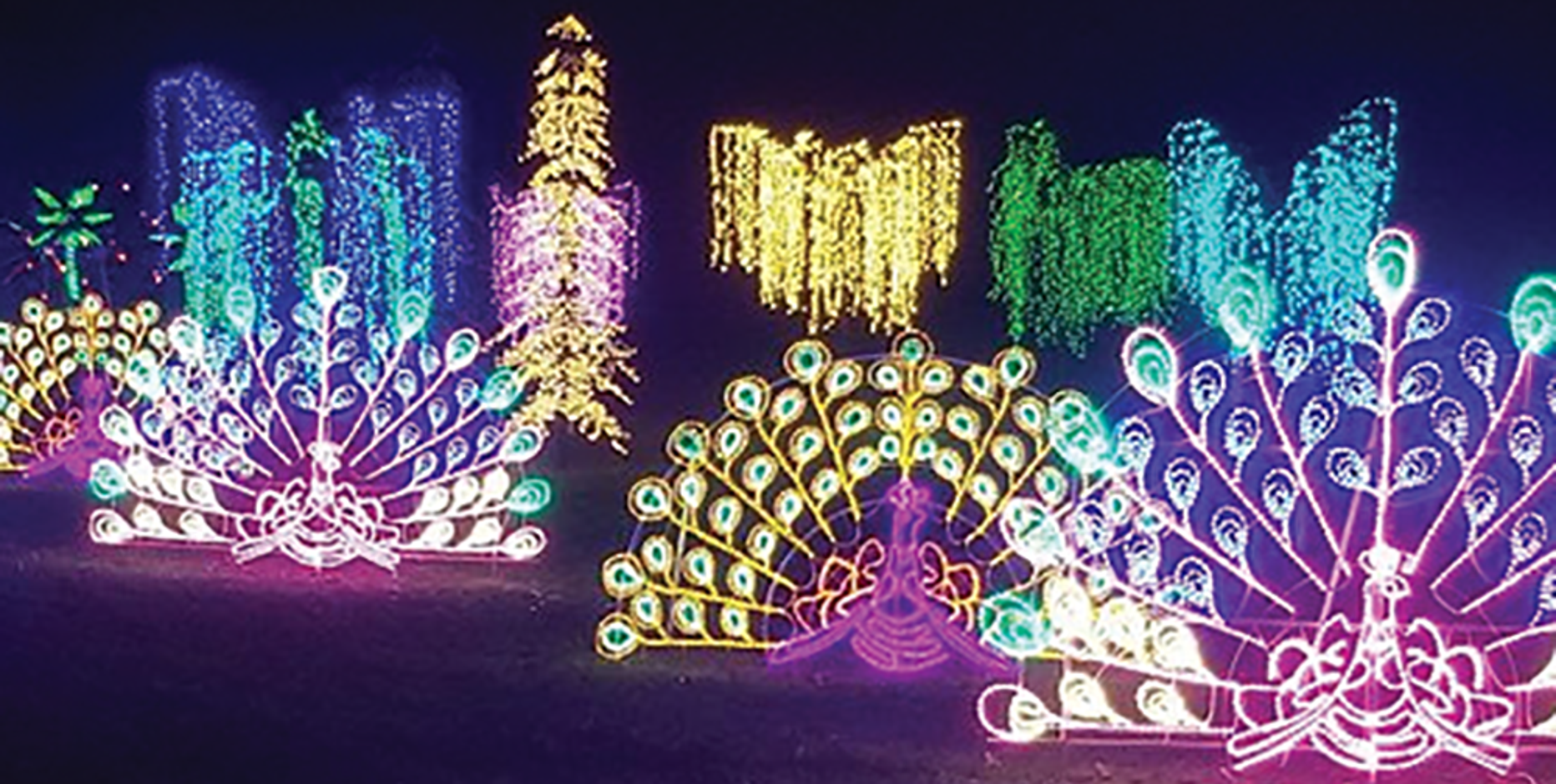Winter Wonders drive-thru holiday lights show returns to Boerner
