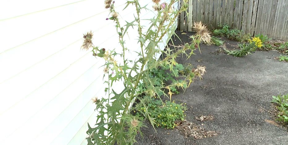 &#8216;Disheartening:&#8217; Contact 6 hears about problematic paver, again