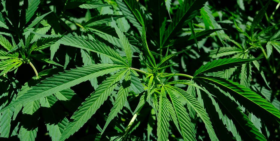 Legal pot in Wisconsin, budget items face GOP rejection