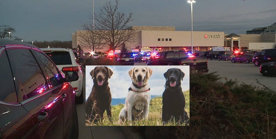 K-9s will detect firearms at Mayfair Mall