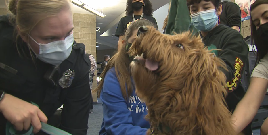 Police dogs help Greenfield officers relieve stress amid pandemic
