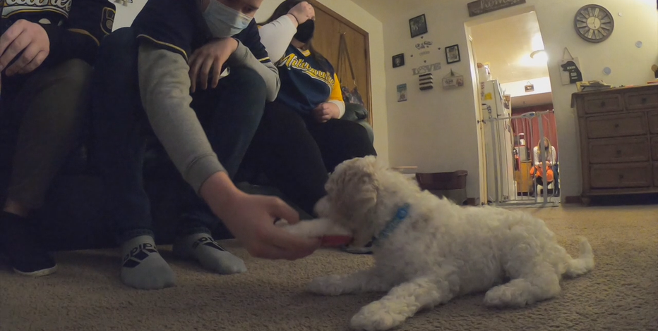 Cancer-battling teen gets emotional support pup: 'Happy face'