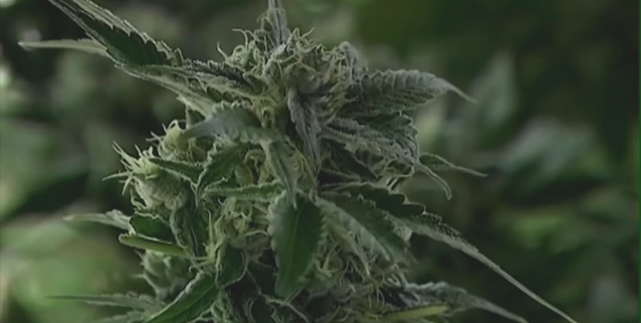 Gov. Evers cites revenue, reform in push to legalize marijuana