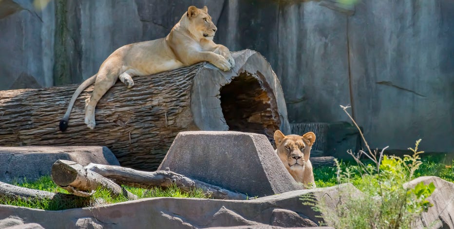 Moms receive free admission at Milwaukee County Zoo on Mother’s Day