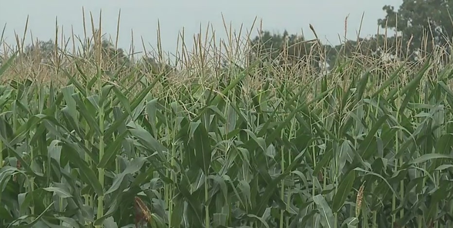 Evers proposes $25M Wisconsin agriculture package
