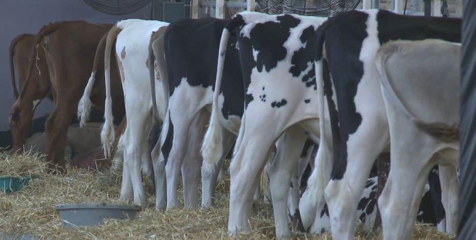 $20.2M for dairy business innovation, USDA announces