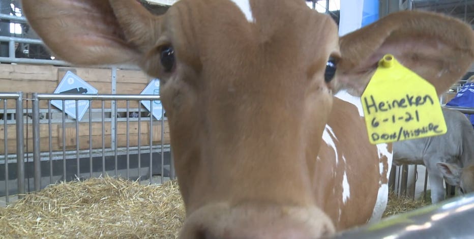 Wisconsin's dairy sector expansion project unveiled