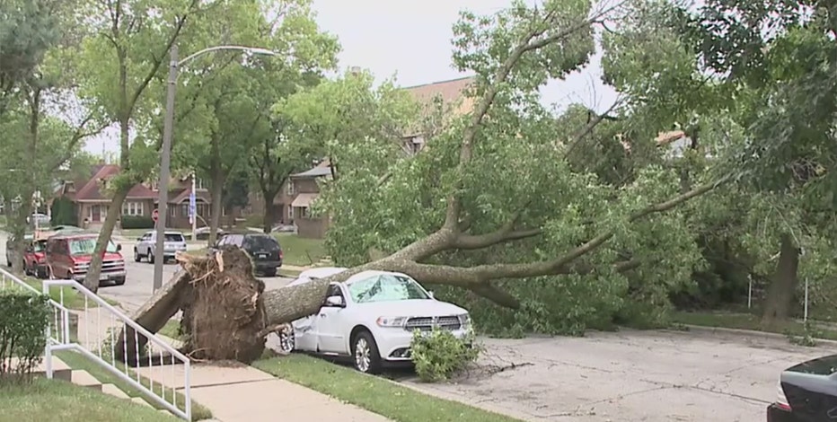 Severe storms cause widespread damage; down trees, power lines