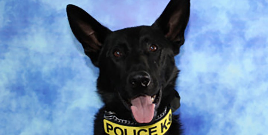 Whitewater police K-9 retires, to live with officer