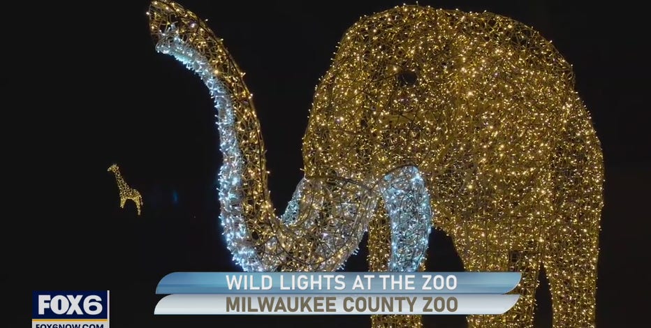Wild Lights At The Zoo starts up again