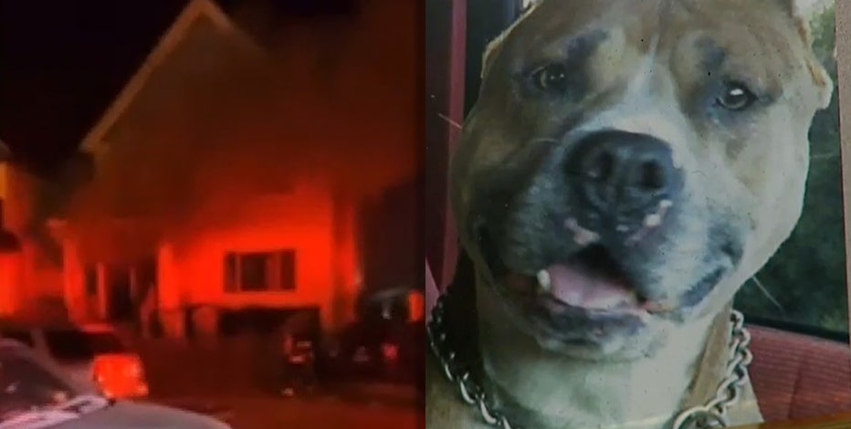 Fire destroys Milwaukee family's home, kills dog: 'Unexplainable'