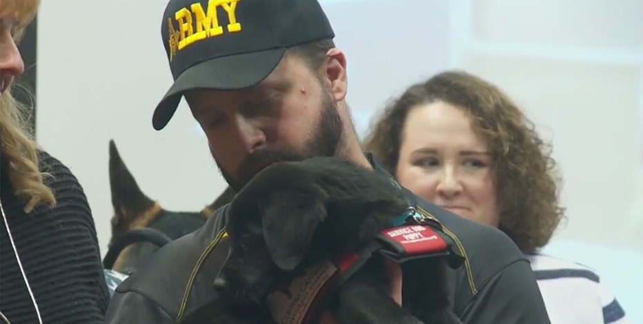 Service dogs for Wisconsin veterans support mental health