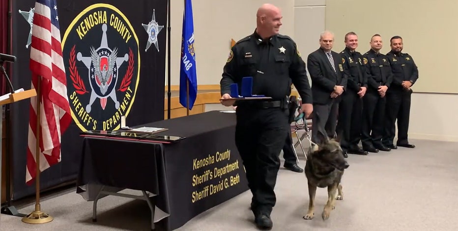 K-9 Riggs earns Silver Star award for courage, bravery, valor
