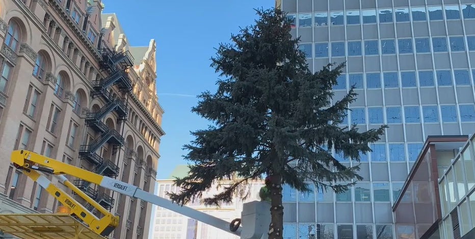 Milwaukee Christmas tree repurposed at Black Husky Brewing