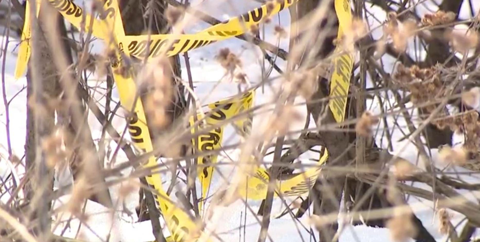 Explosive device detonated in Delafield, 1 in custody