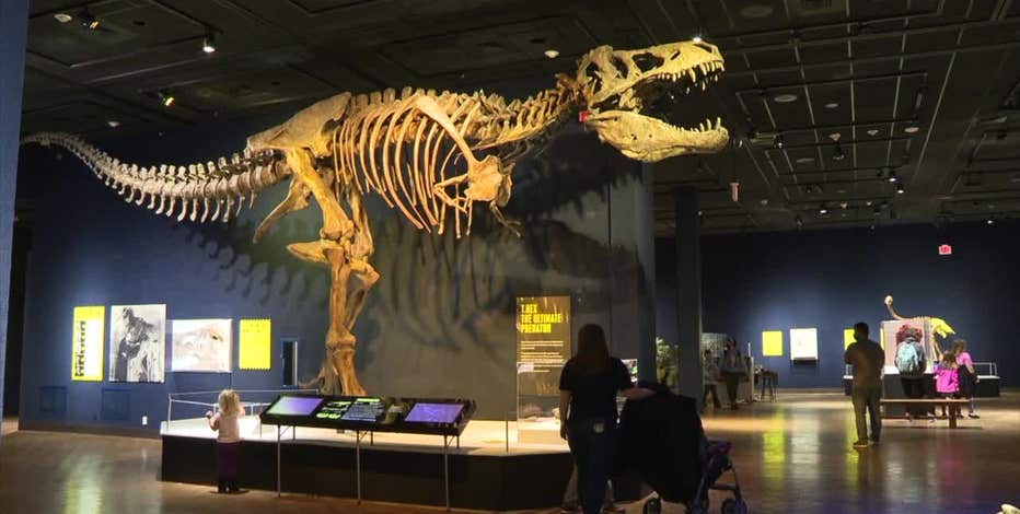 Milwaukee Public Museum Tyrannosaurs exhibit; immersive experience
