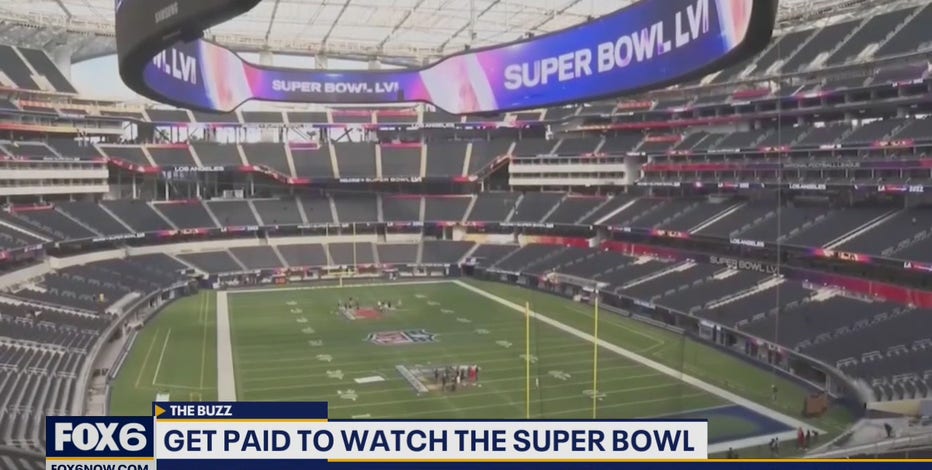 Watch the Super Bowl, get paid