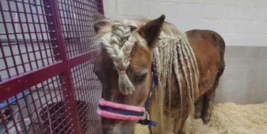 Washington County Humane worker's animals killed in hobby farm fire