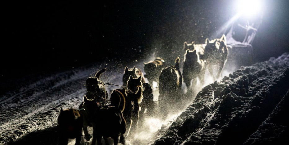 Wisconsin musher wins sled dog marathon in Minnesota