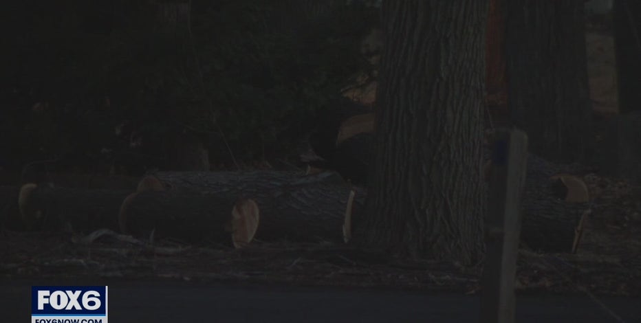 Branch falls in Brown Deer, man dies