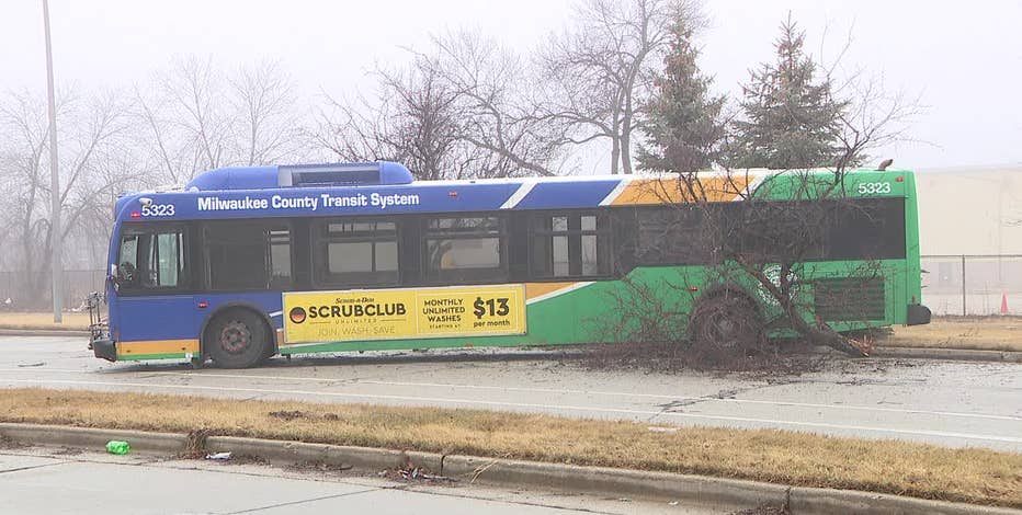 MCTS bus crashes into tree near Good Hope and Teutonia