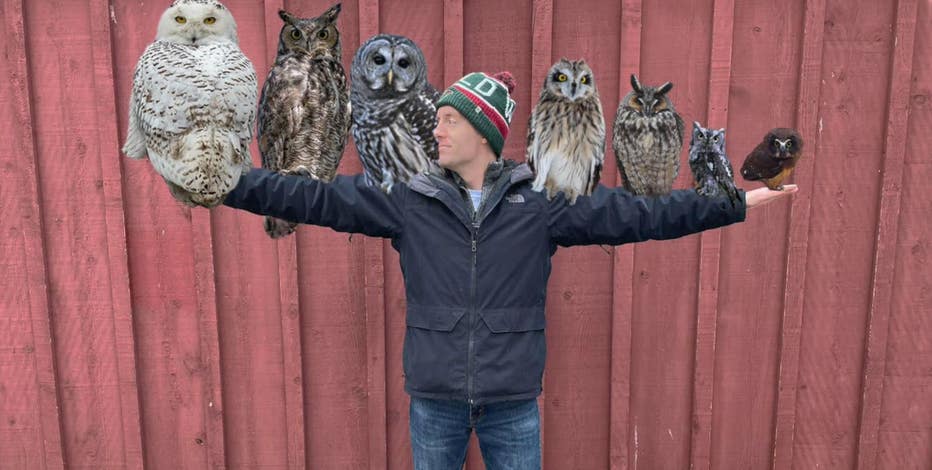 Help save Wisconsin's owls