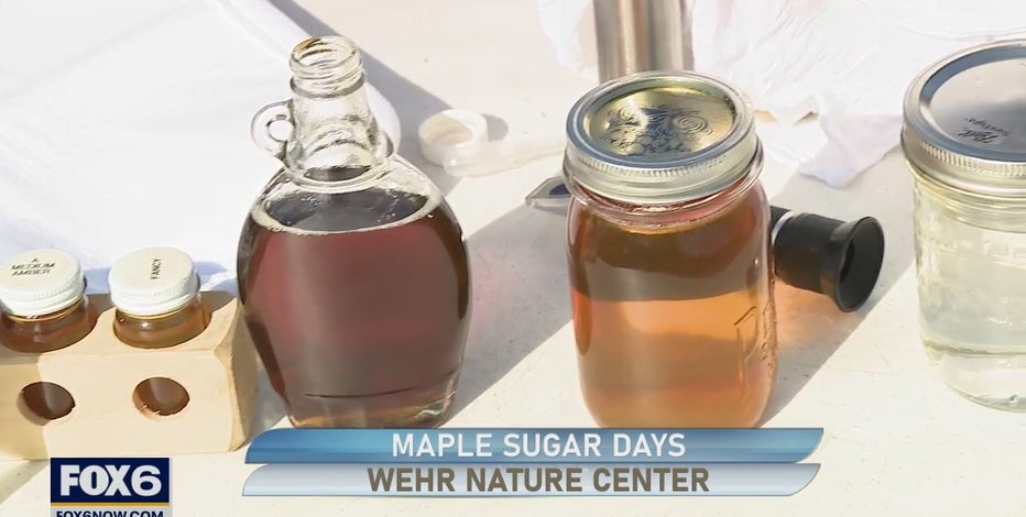 Maple Sugar Days at Wehr Nature Center