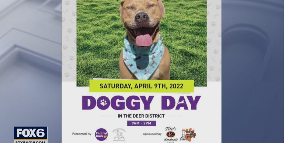 Doggy Day in the Deer District
