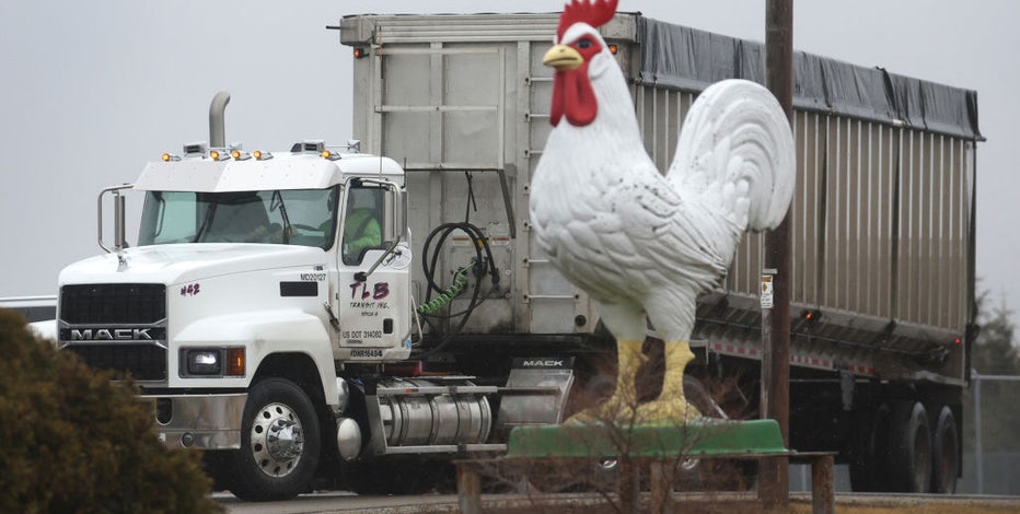 Wisconsin poultry shows, exhibitions suspended; avian flu concern