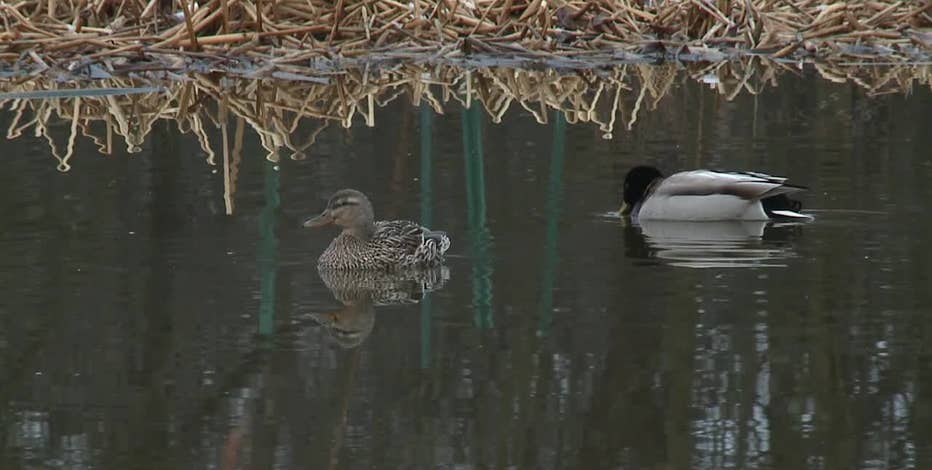 Schlitz Audubon Nature Center: 'Every single day there's something new'