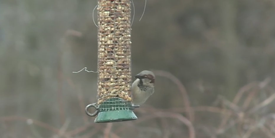 Schlitz Audubon Nature Center offers great programming