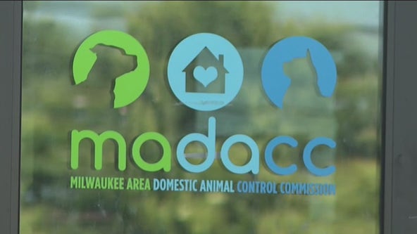 MADACC dog, cat summer adoption promotion announced