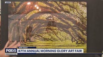 Morning Glory Art Fair in Deer District