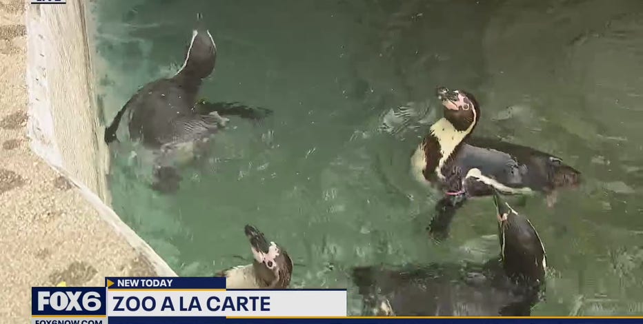 A la Carte at the Zoo is back after 2 years