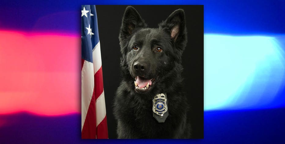 New Berlin K-9 Condor dies; diagnosed with terminal cancer last fall
