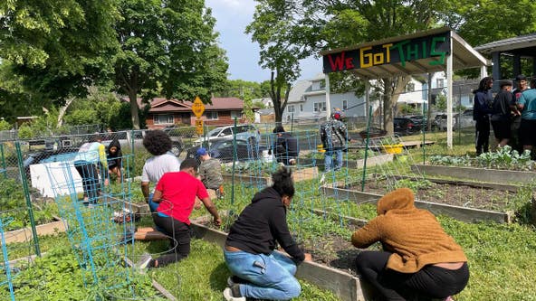 Milwaukee 'We Got This' Garden gets kids' hands dirty