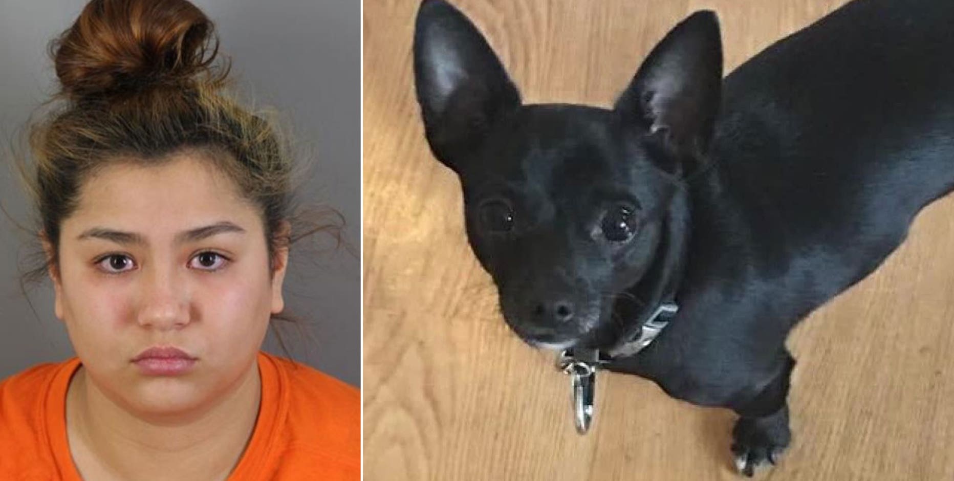 Woman accused, killing family’s dog; charged in Waukesha County