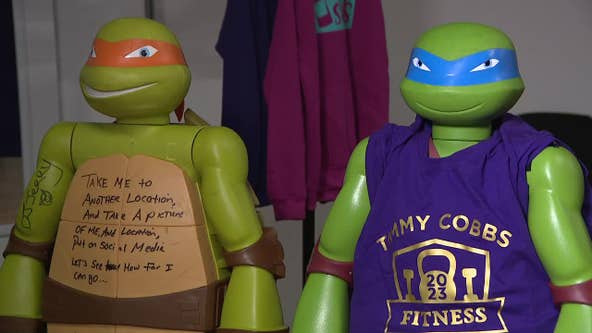 Ninja Turtle figurines around Milwaukee go viral