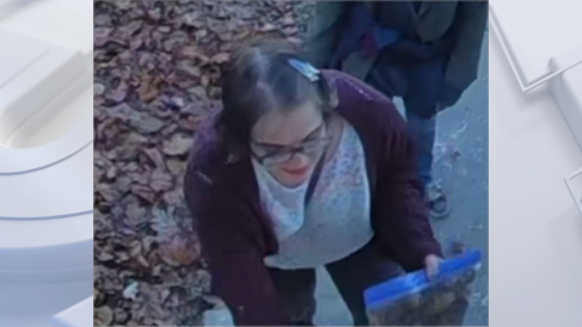 Slender Man stabbing: Morgan Geyser found in Illinois