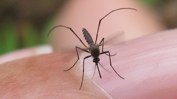 West Nile virus found in Georgetown again; ground spraying set for this week